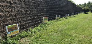 South Fayette Story Walk